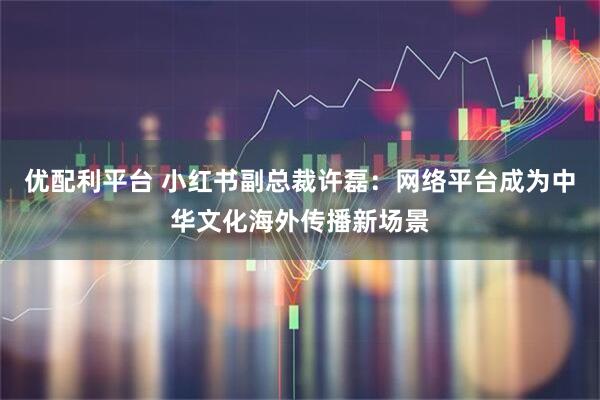优配利平台 小红书副总裁许磊：网络平台成为中华文化海外传播新场景
