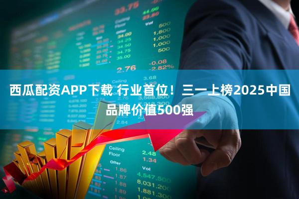 西瓜配资APP下载 行业首位！三一上榜2025中国品牌价值500强