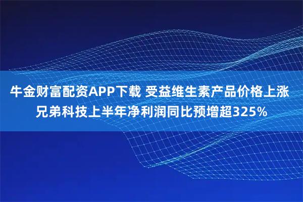 牛金财富配资APP下载 受益维生素产品价格上涨 兄弟科技上半年净利润同比预增超325%