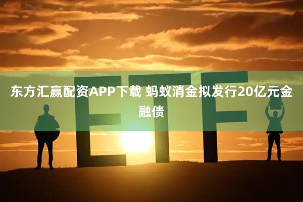 东方汇赢配资APP下载 蚂蚁消金拟发行20亿元金融债