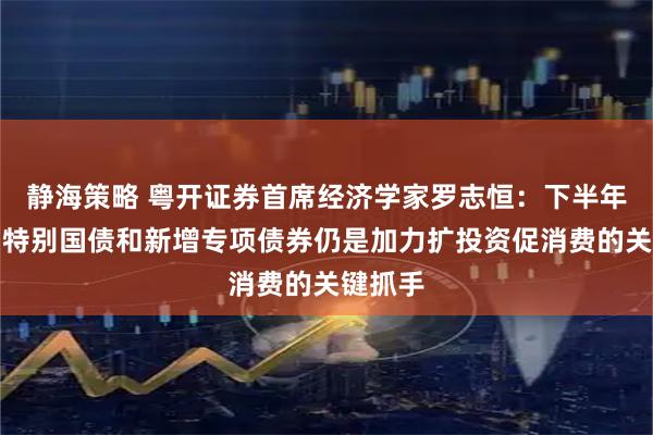 静海策略 粤开证券首席经济学家罗志恒:下半年超长期特别国债和新增专项债券仍是加力扩投资促消费的关键抓手